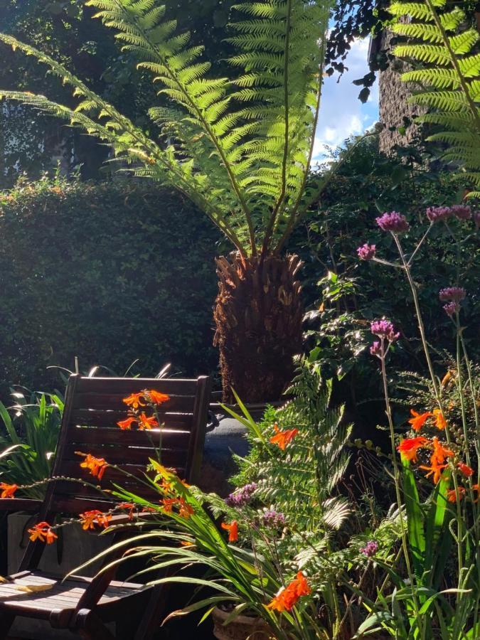 Baytree House Guest house 4*